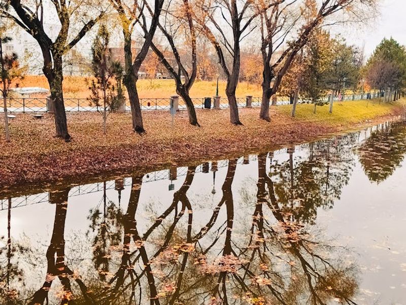 Main focus image showing a calm and serene natural landscape.
